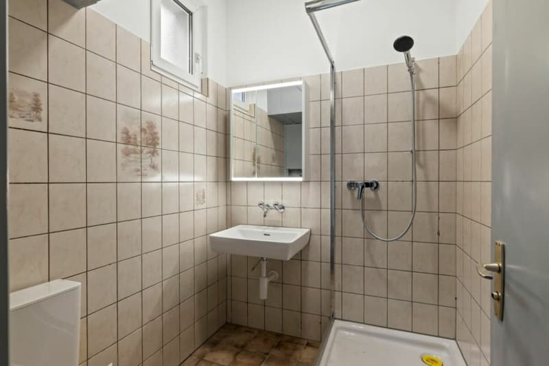 Offre exceptionnelle ! Paradis équestre dans le Simmental - Oberland bernois (17)