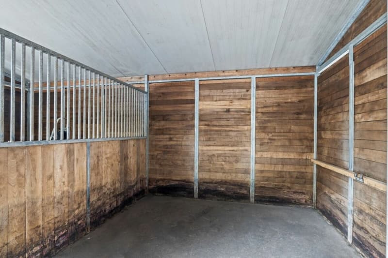 Offre exceptionnelle ! Paradis équestre dans le Simmental - Oberland bernois (9)