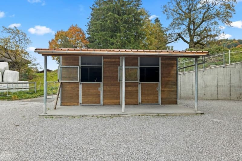 Offre exceptionnelle ! Paradis équestre dans le Simmental - Oberland bernois (11)