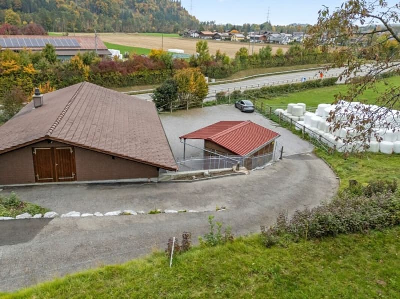 Offre exceptionnelle ! Paradis équestre dans le Simmental - Oberland bernois (6)