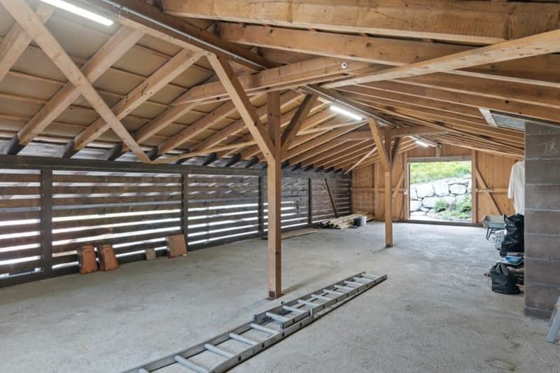 Offre exceptionnelle ! Paradis équestre dans le Simmental - Oberland bernois (19)