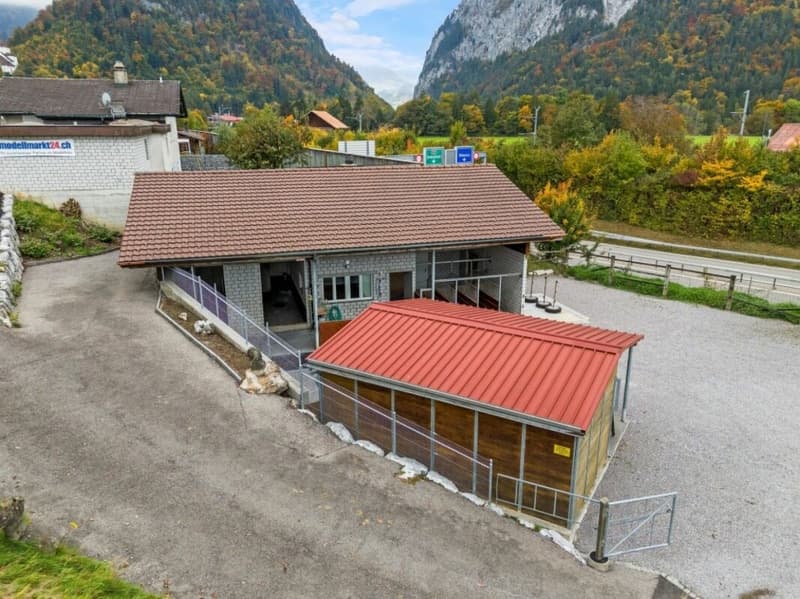Offerta top! Paradiso dei cavalli nel Simmental - Oberland bernese (5)