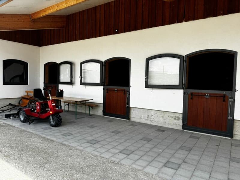 Queens Ranch Academy (8)