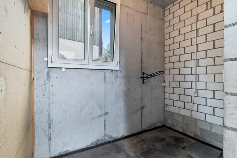 Offre exceptionnelle ! Paradis équestre dans le Simmental - Oberland bernois (12)