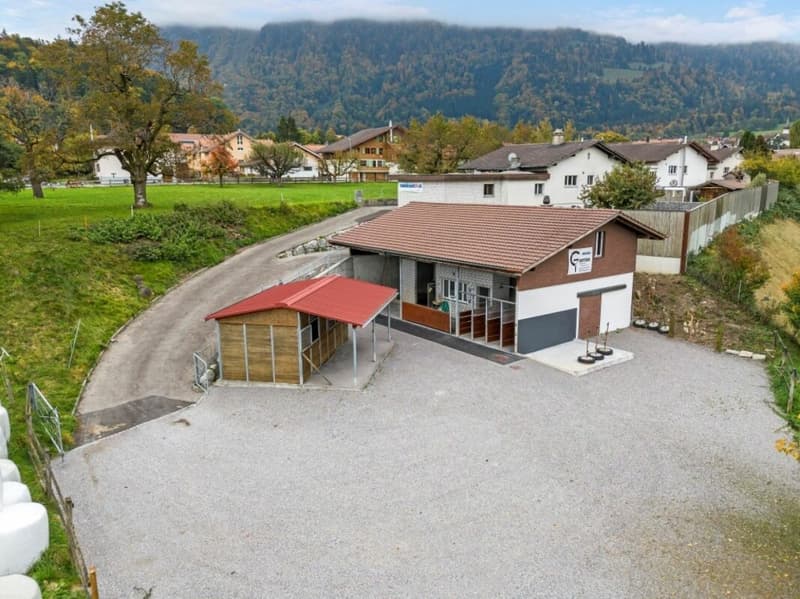 Offre exceptionnelle ! Paradis équestre dans le Simmental - Oberland bernois (3)