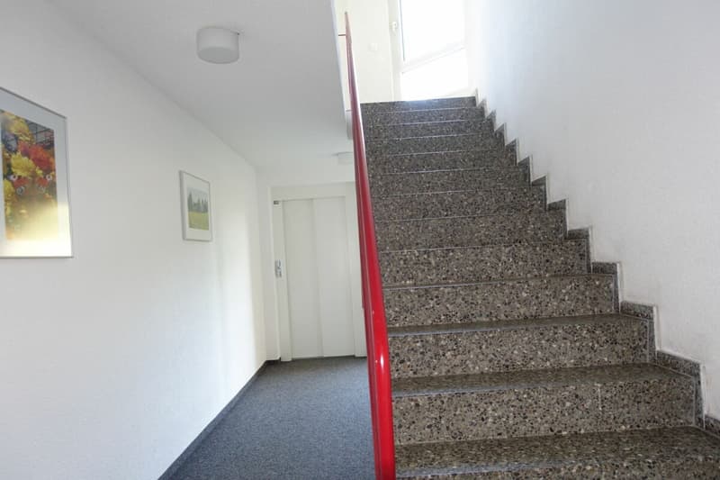 Renovierte 3.5 Zi-Eigentumswohnung mit Balkon und Einstellhallenplatz (18)