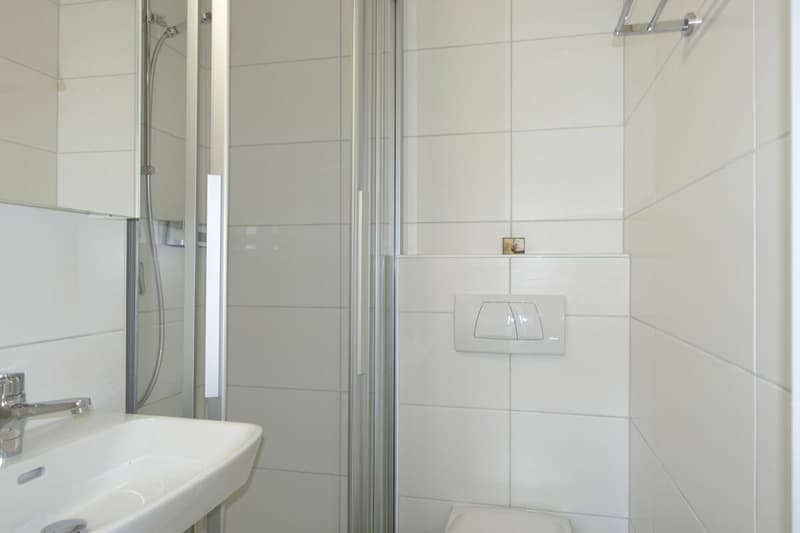 Renovierte 3.5 Zi-Eigentumswohnung mit Balkon und Einstellhallenplatz (12)