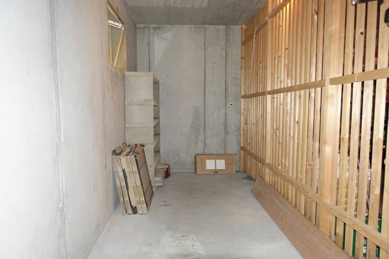 Renovierte 3.5 Zi-Eigentumswohnung mit Balkon und Einstellhallenplatz (17)