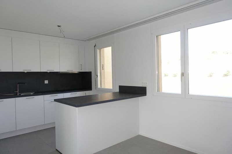 Renovierte 3.5 Zi-Eigentumswohnung mit Balkon und Einstellhallenplatz (1)