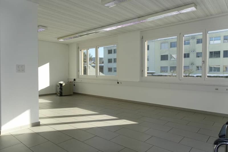 Grosszügige Gewerberäumlichkeiten im EG & UG (5)