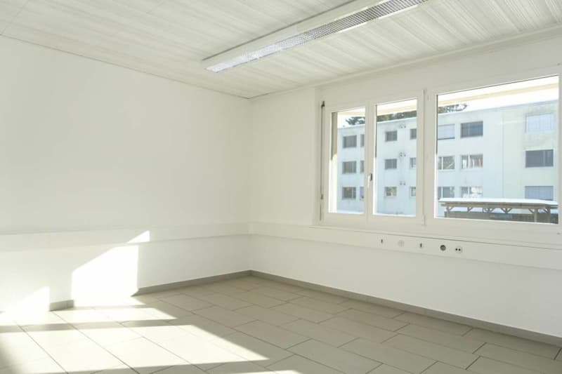 Grosszügige Gewerberäumlichkeiten im EG & UG (15)