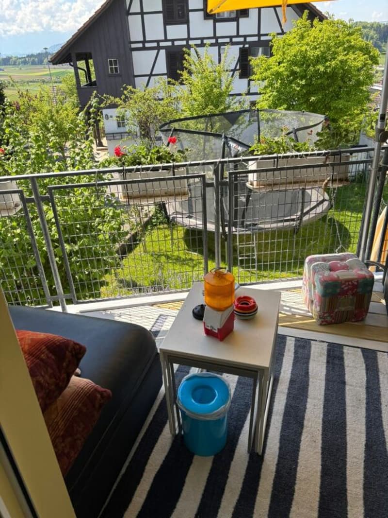 Traumhaftes Eck-Reiheneinfamilienhaus mit zwei Einstellhallenplätze (17)