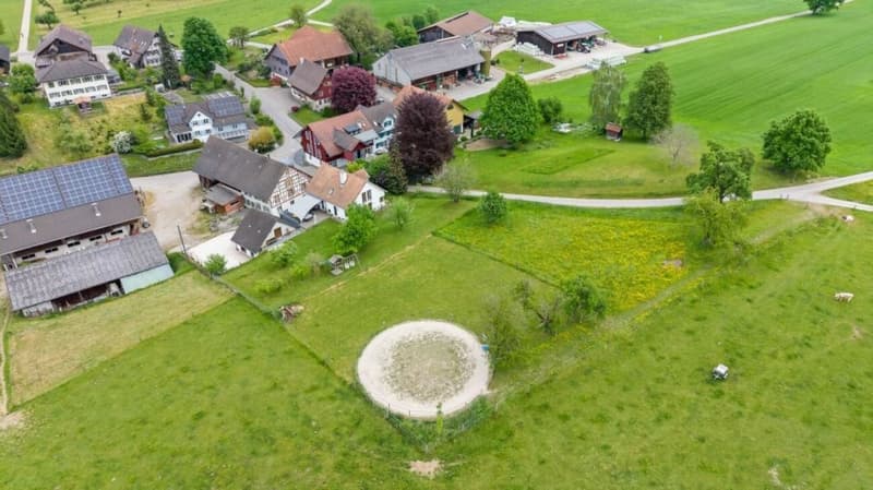 Horse Paradise! Single-family house with horse stable (9)