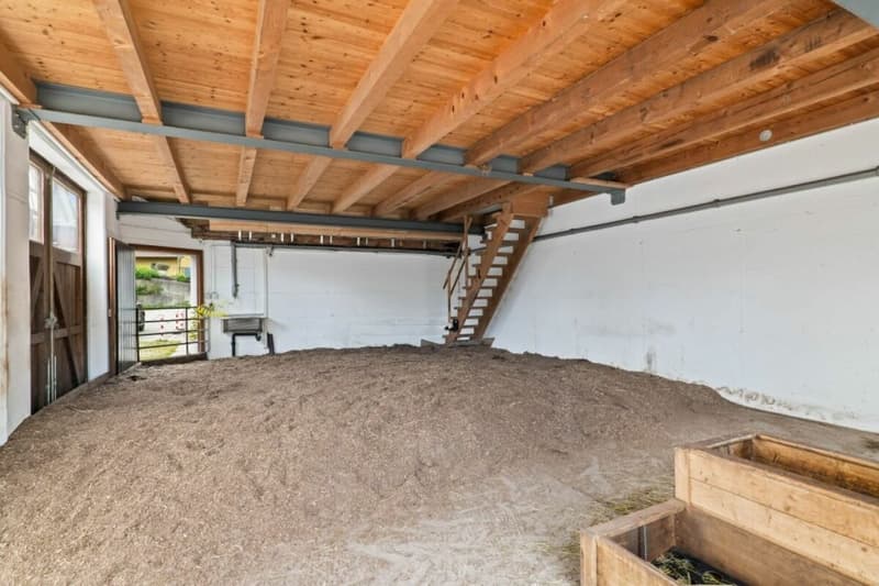 Horse Paradise! Single-family house with horse stable (28)
