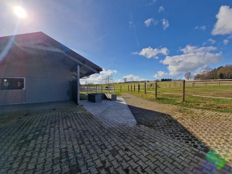 Top Angebot! Reitsportimmobilie mit Haus und Reithalle (39)