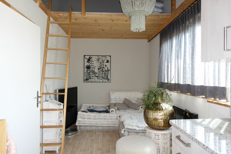 Top Angebot! Reitsportimmobilie mit Haus und Reithalle (72)
