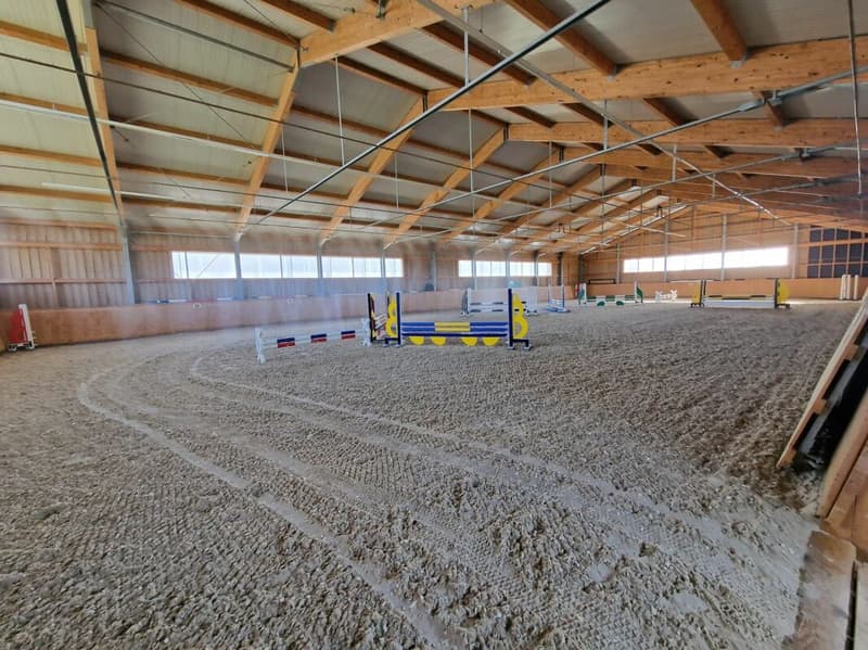 Top Angebot! Reitsportimmobilie mit Haus und Reithalle (61)