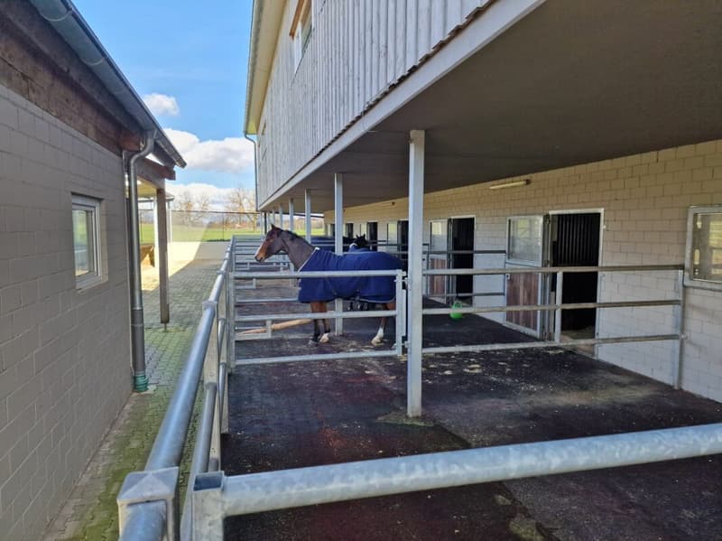 Top Angebot! Reitsportimmobilie mit Haus und Reithalle (41)