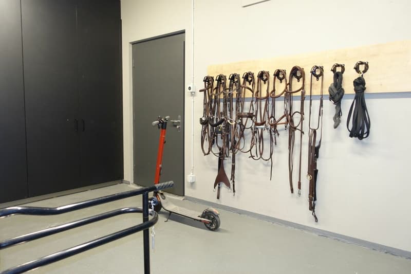 Top Angebot! Reitsportimmobilie mit Haus und Reithalle (53)