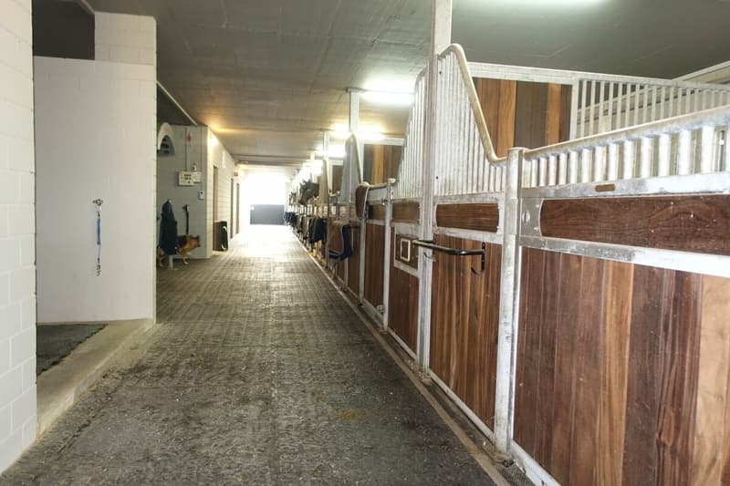 Top Angebot! Reitsportimmobilie mit Haus und Reithalle (46)