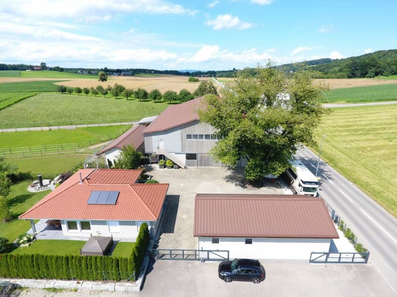 Top Angebot! Reitsportimmobilie mit Haus und Reithalle (3)