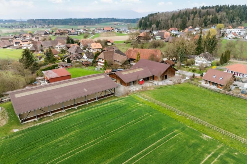 Bijou - Reitsportimmobilie mit Reithalle und Wohnhaus (4)