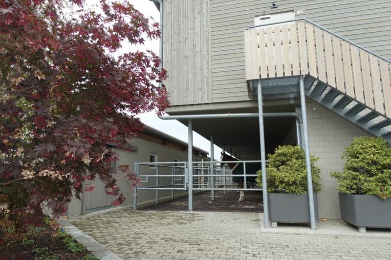 Reserviert! Reitsportimmobilie mit Haus und Reithalle (32)