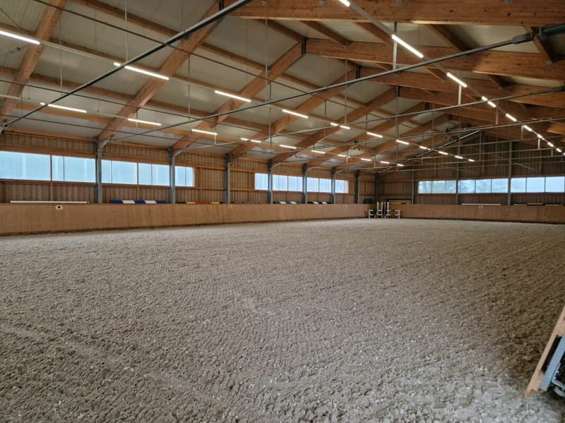 Reserviert! Reitsportimmobilie mit Haus und Reithalle (60)