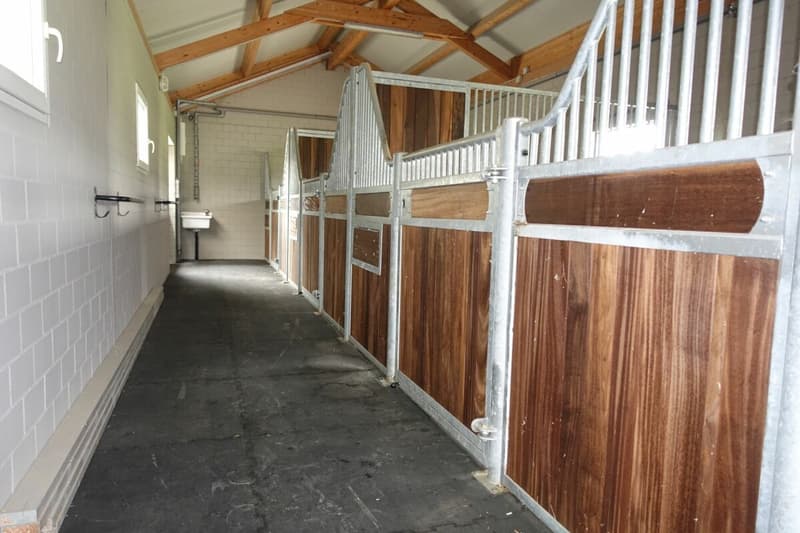 Reserviert! Reitsportimmobilie mit Haus und Reithalle (47)