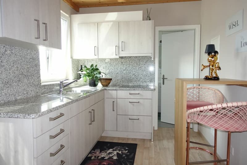 Reserviert! Reitsportimmobilie mit Haus und Reithalle (71)