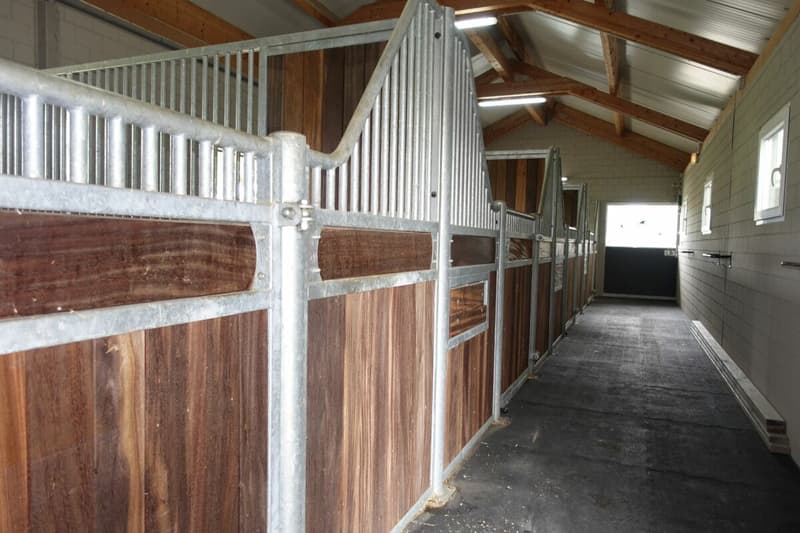 Reserviert! Reitsportimmobilie mit Haus und Reithalle (48)