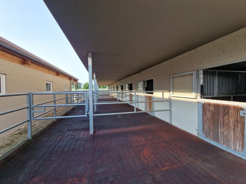 Reserviert! Reitsportimmobilie mit Haus und Reithalle (42)