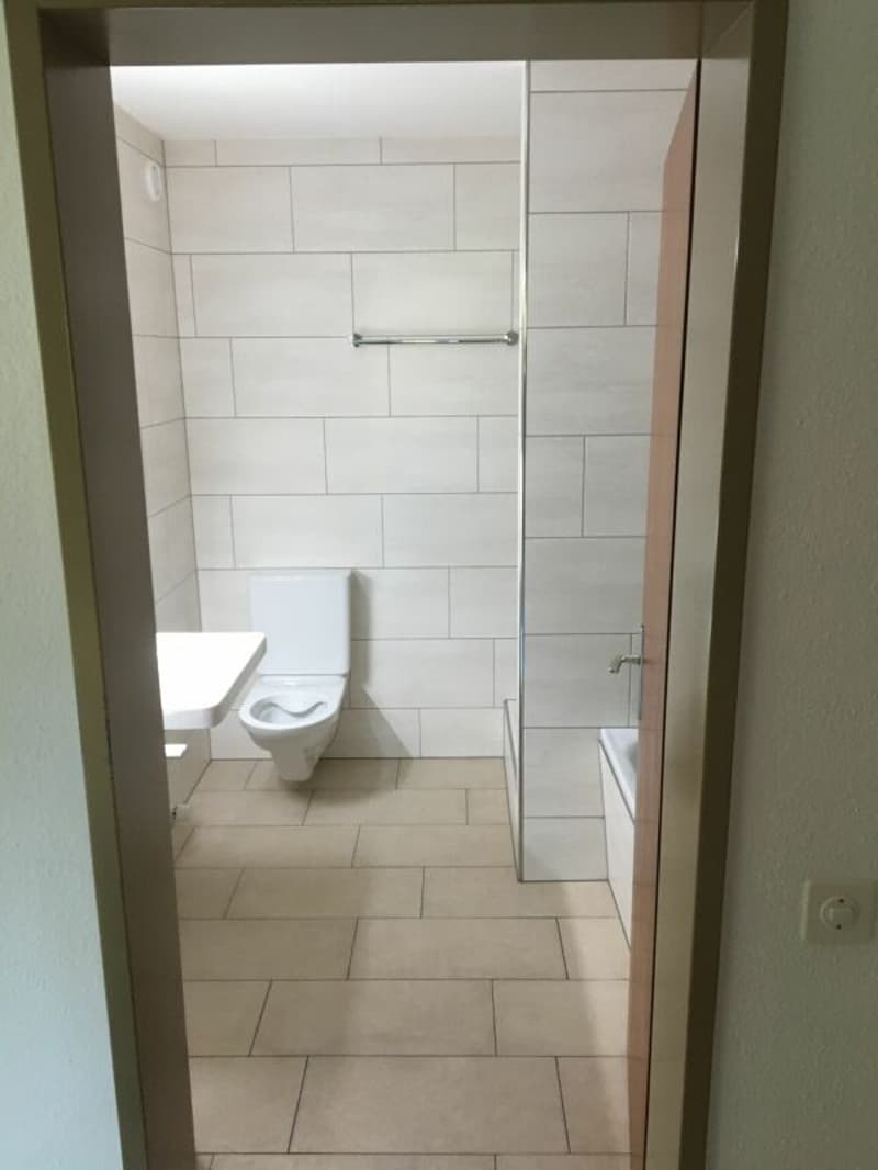 3 ½ -Zimmer-Wohnung EG mit Lift (4)