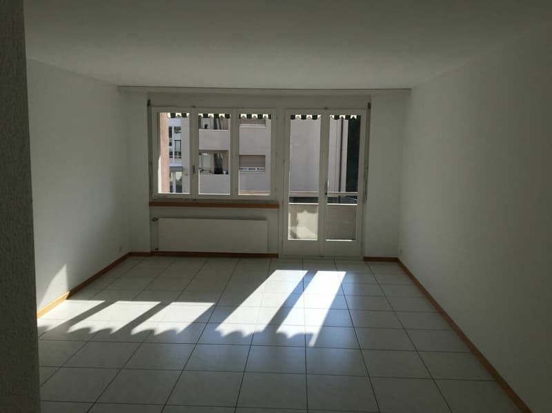 3 ½ -Zimmer-Wohnung EG mit Lift (3)