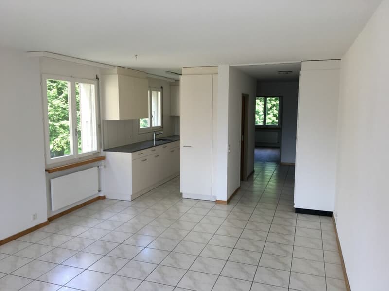3 ½ -Zimmer-Wohnung (3)