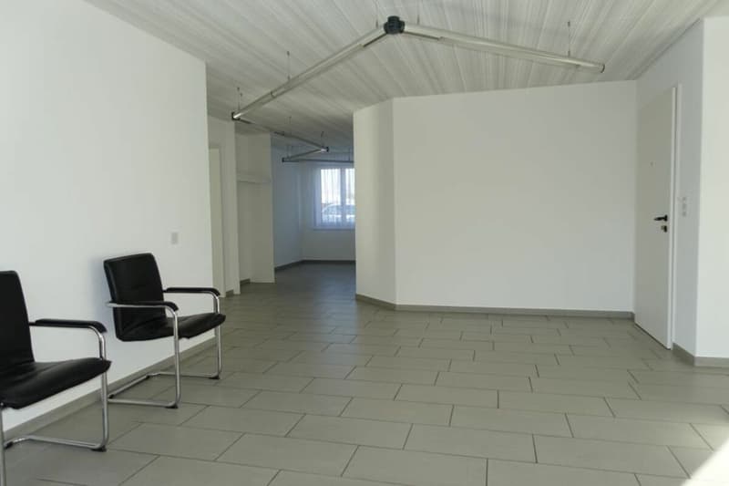 Grosszügige Gewerberäumlichkeiten im EG & UG (8)