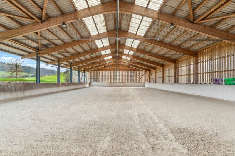 Bijou - Reitsportimmobilie mit Reithalle und Wohnhaus (1)