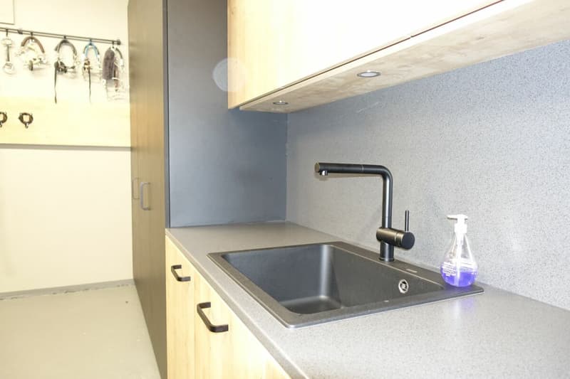 Reserviert! Reitsportimmobilie mit Haus und Reithalle (69)