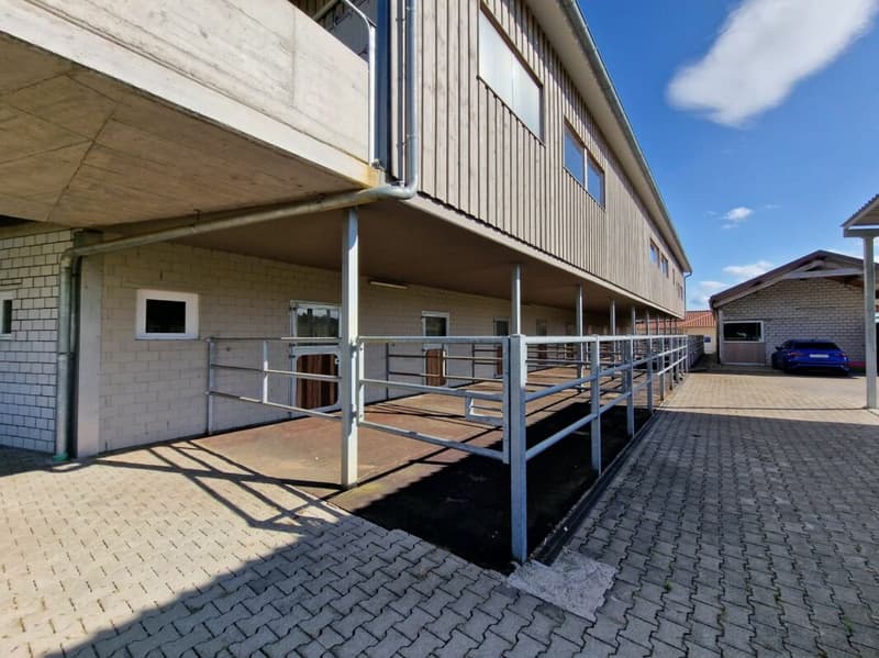 Reserviert! Reitsportimmobilie mit Haus und Reithalle (40)