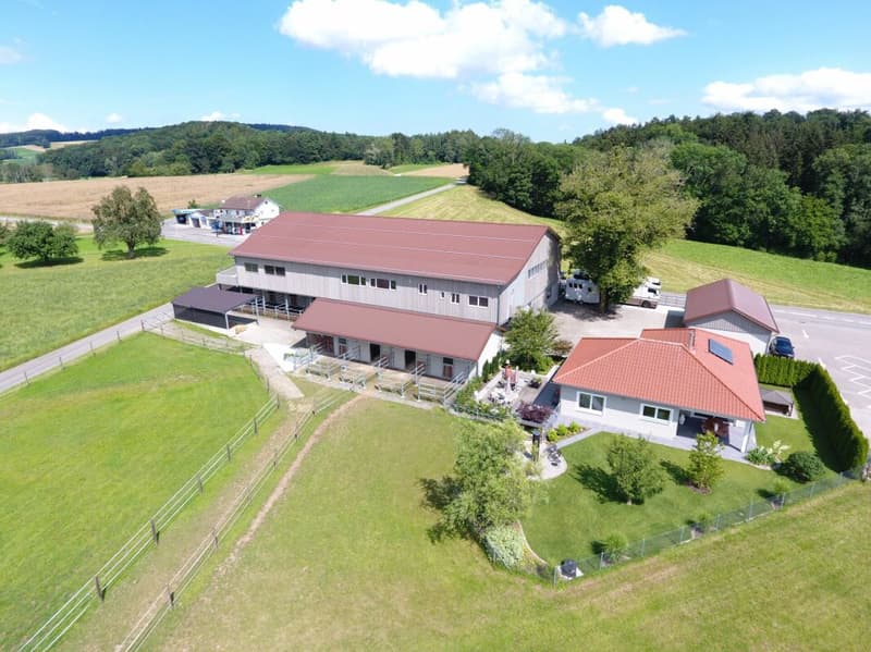 Reserviert! Reitsportimmobilie mit Haus und Reithalle (1)