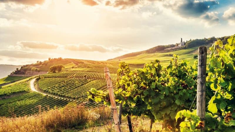 Top! Erfolgreiche Getränke- und Weinhandlung mit Eventgeschäft (8)