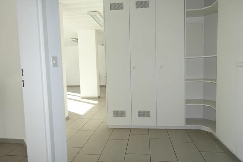 Einzigartige Gewerberäumlichkeiten im EG & UG (14)