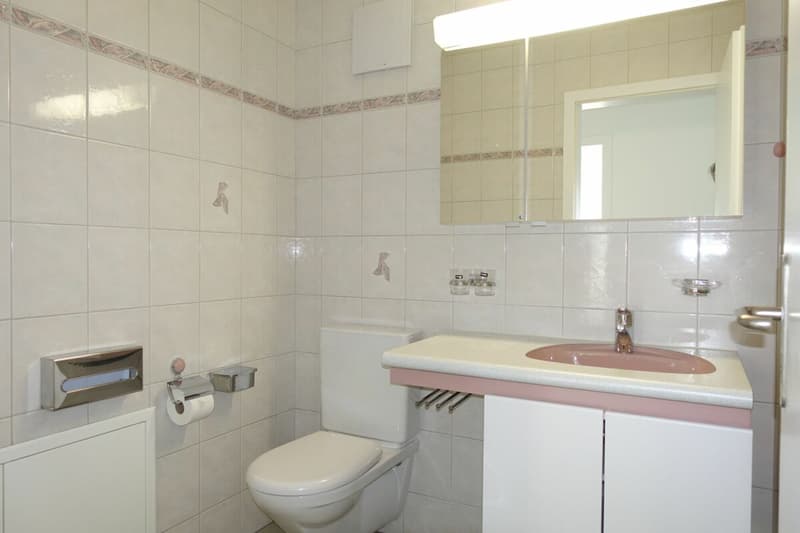 Neu renovierte 3.5 Zi-Eigentumswohnung (13)