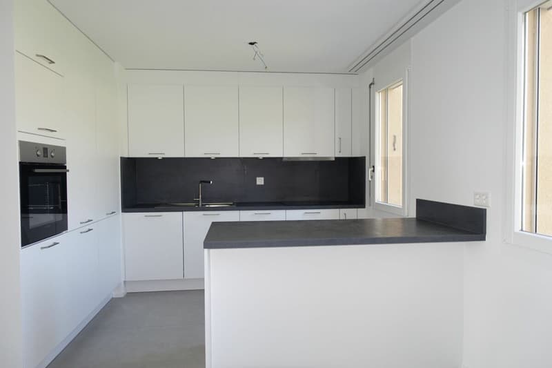 Neu renovierte 3.5 Zi-Eigentumswohnung (2)