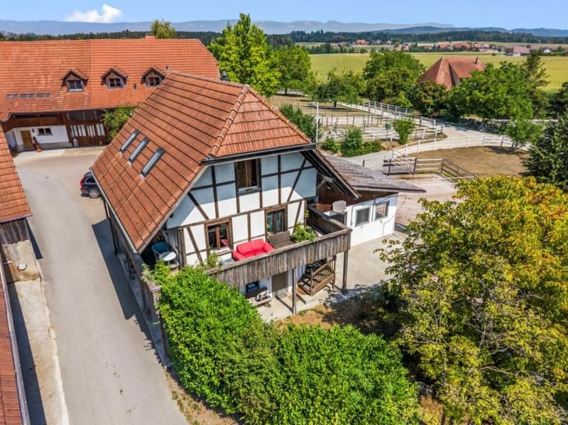 Aussergewöhnliches Landgut mit Reitanlage - eine Oase für Mensch und Pferd (39)