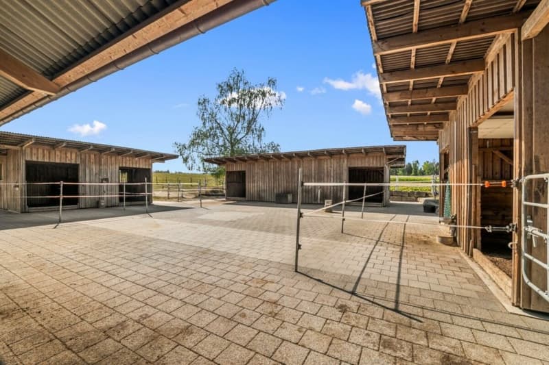 Aussergewöhnliches Landgut mit Reitanlage - eine Oase für Mensch und Pferd (63)