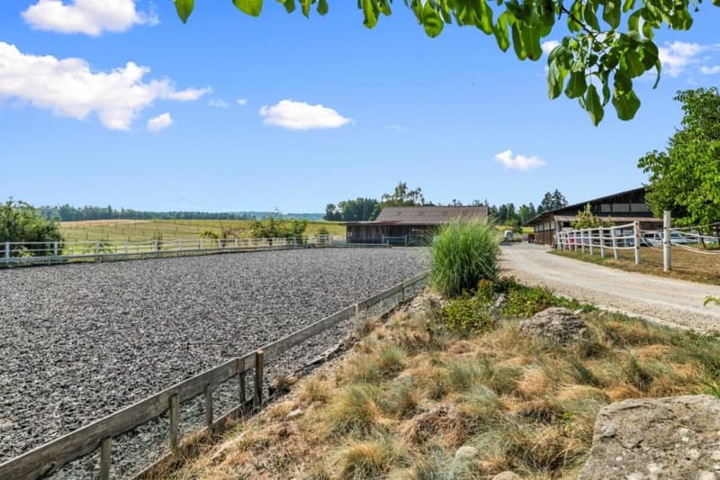 Aussergewöhnliches Landgut mit Reitanlage - eine Oase für Mensch und Pferd (59)