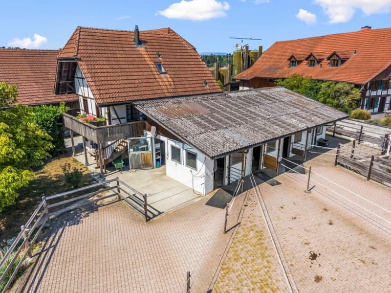 Aussergewöhnliches Landgut mit Reitanlage - eine Oase für Mensch und Pferd (40)