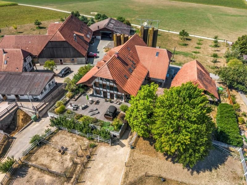 Aussergewöhnliches Landgut mit Reitanlage - eine Oase für Mensch und Pferd (72)