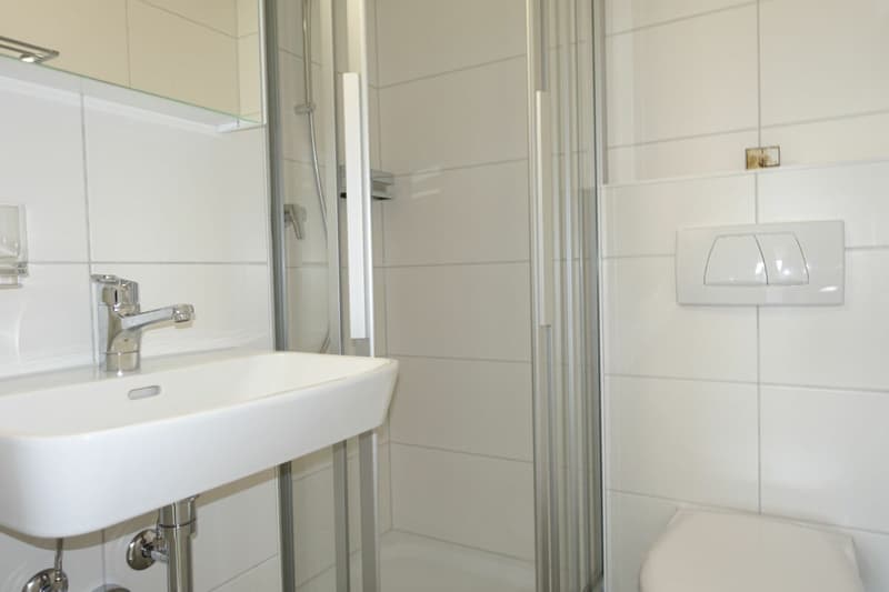 Bijou! neu renovierte 3.5 Zi-Eigentumswohnung (11)